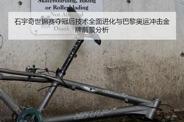 石宇奇世锦赛夺冠后技术全面进化与巴黎奥运冲击金牌前景分析