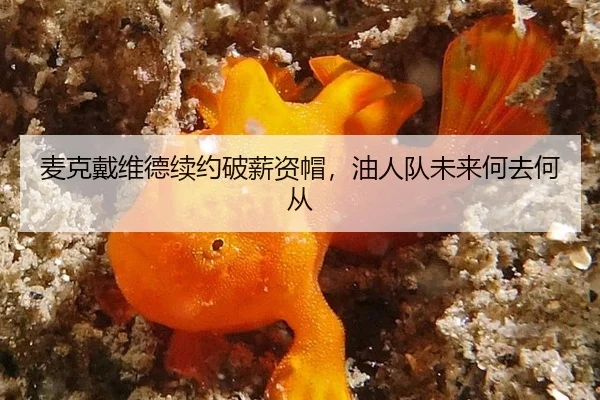 mai-ke-dai-wei-de-xu-yue-po-xin-zi-mao-you-ren-dui-wei-lai-he-qu-he-cong-2-310.jpg