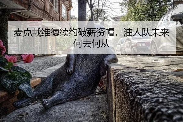 mai-ke-dai-wei-de-xu-yue-po-xin-zi-mao-you-ren-dui-wei-lai-he-qu-he-cong-3-155.jpg