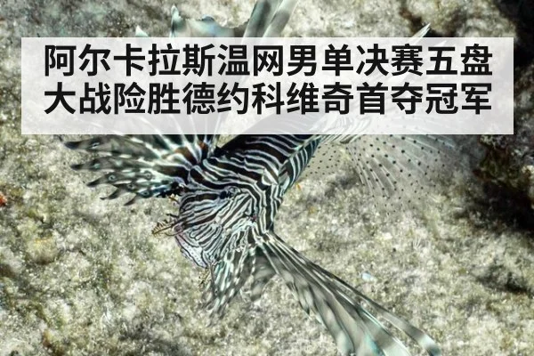 阿尔卡拉斯温网男单决赛五盘大战险胜德约科维奇首夺冠军